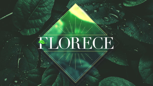 Florece - NK
